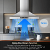 24 Inch Range Hood, Ducted/Ductless Range Hood 450CFM, Wall Mount Kitchen Hood In Stainless Steel, Gesture Sensing & Touch Control, 3 Speed Fan